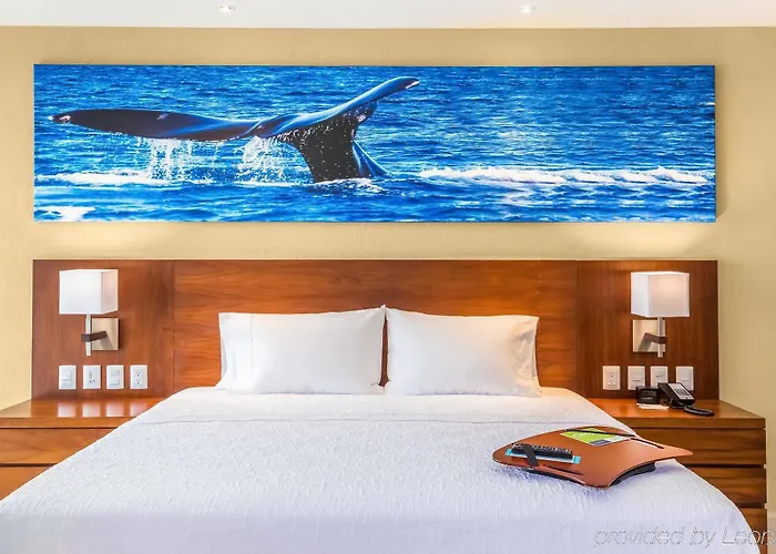 Hotel Hampton & By Hilton Cabos
